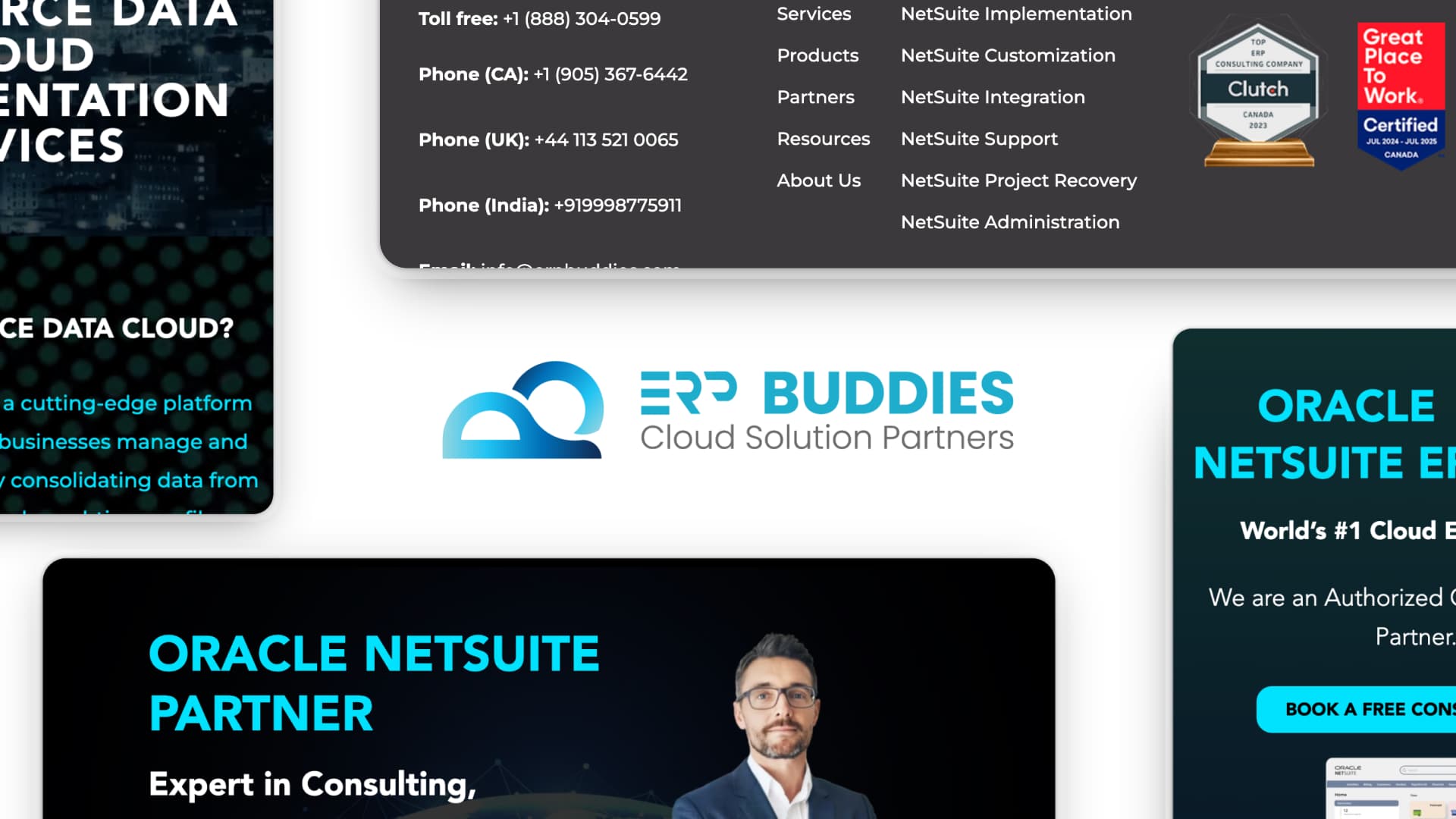 ERP Buddies website